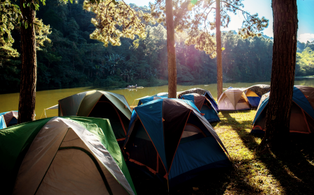 Safari de Verão: Clube SESI Betim abre inscrições para Colônia de Férias de janeiro com muita aventura