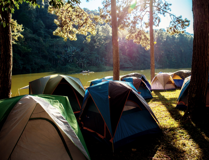 Safari de Verão: Clube SESI Betim abre inscrições para Colônia de Férias de janeiro com muita aventura